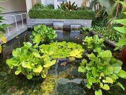 The Waterina (D14), Apartment #239712041